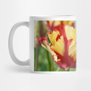 Tulipa &#39;Flaming Parrot&#39; Parrot Group Tulip Mug